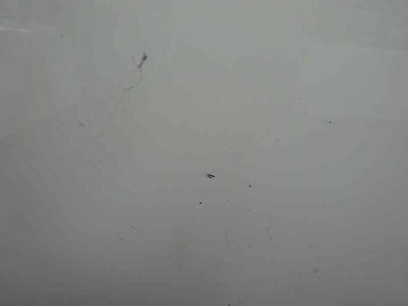 ALETA DELANTERA IZQUIERDA CITROEN C4 BERLINA 2006 1.4 16V (88 CV)