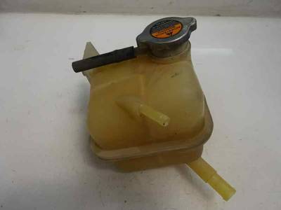 DEPOSITO EXPANSION NISSAN X TRAIL 2009 2.0 DCI TURBODIESEL (150 CV)