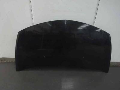 CAPOT RENAULT CLIO III 2007 1.5 DCI D (68 CV)