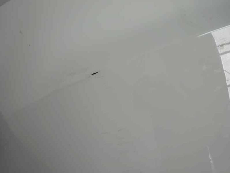 PARAGOLPES TRASERO SEAT IBIZA SC 2014 1.2 12V (69 CV)