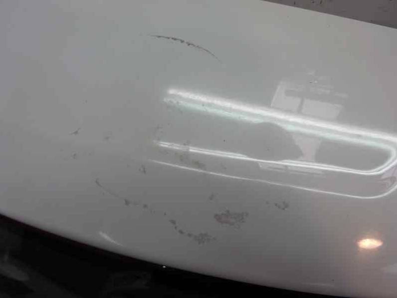 PORTON TRASERO CITROEN C3 2011 1.4 HDI (68 CV)