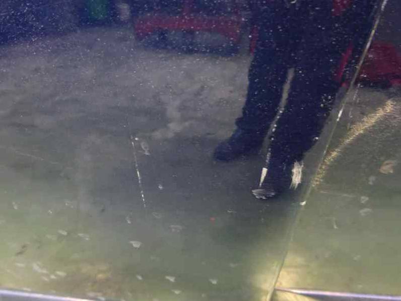 PUERTA DELANTERA IZQUIERDA KIA CERATO 2004 2.0 TURBODIESEL (113 CV)