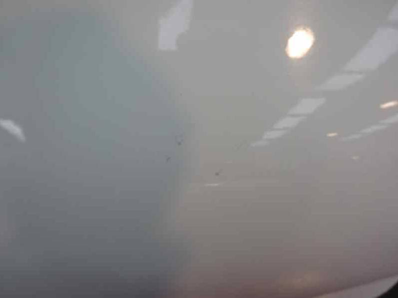 PUERTA TRASERA IZQUIERDA SEAT LEON 2011 1.6 TDI (105 CV)