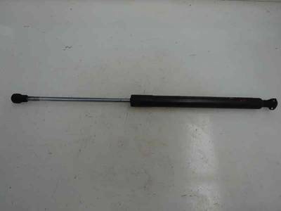 AMORTIGUADOR MALETERO PORTON RENAULT CLIO III 2012 1.5 DCI D (75 CV)