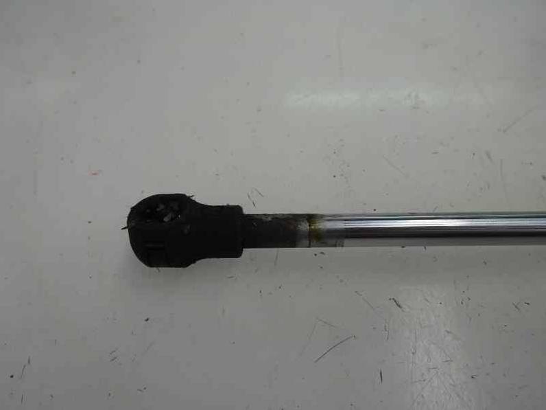 AMORTIGUADOR MALETERO PORTON RENAULT CLIO III 2012 1.5 DCI D (75 CV)