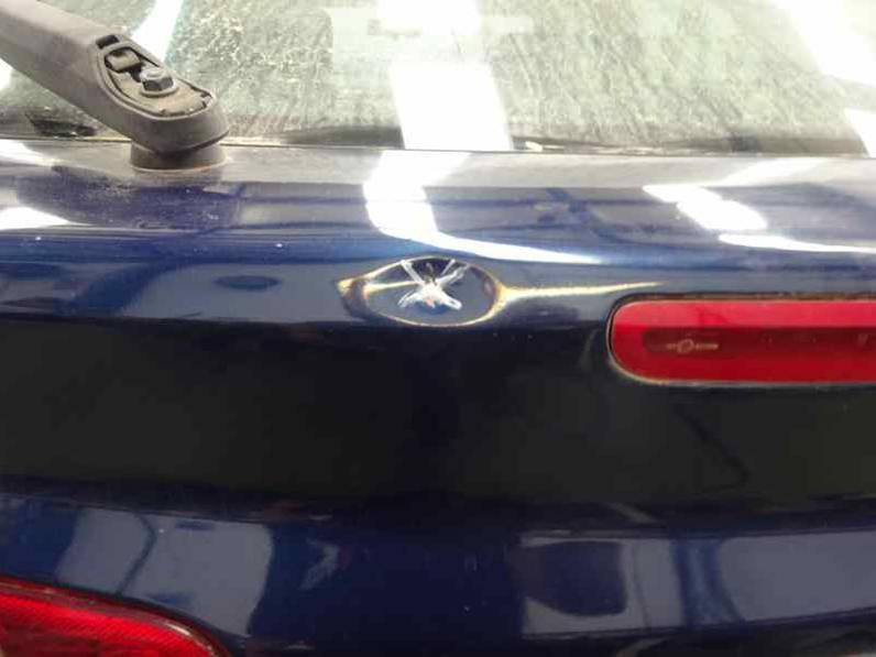 PORTON TRASERO RENAULT LAGUNA II 2003 1.9 DCI D (120 CV)