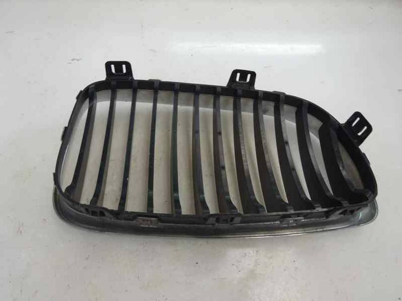 REJILLA CAPOT BMW SERIE 1 BERLINA 2008 2.0 TURBODIESEL (143 CV)