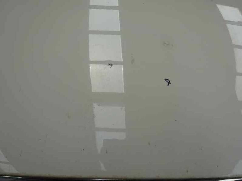 CAPOT TATA VISTA 2013 1368 (75 CV)