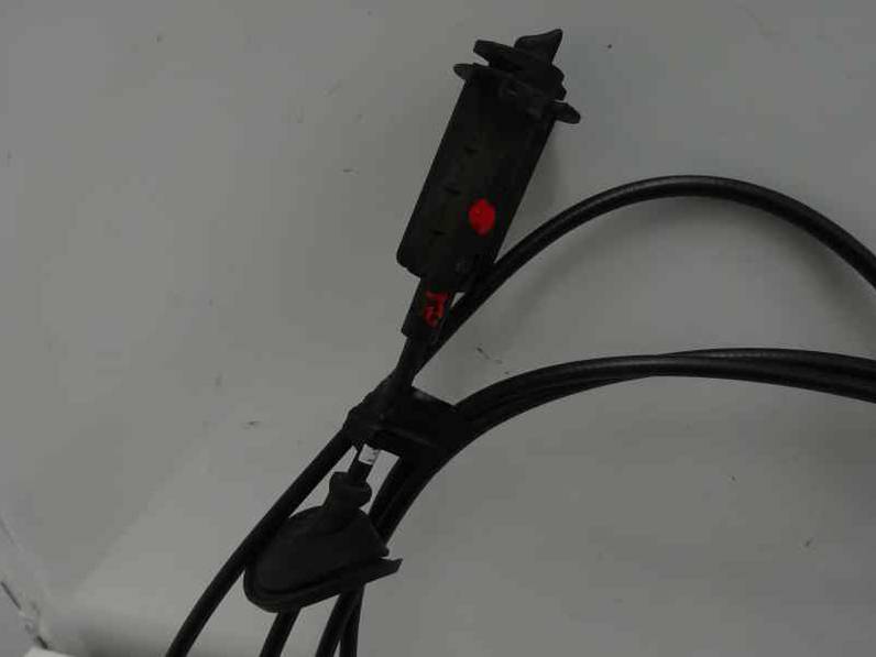 TAPA EXTERIOR COMBUSTIBLE CITROEN C ELYSEE 2019 1.5 BLUE-HDI FAP (102 CV)