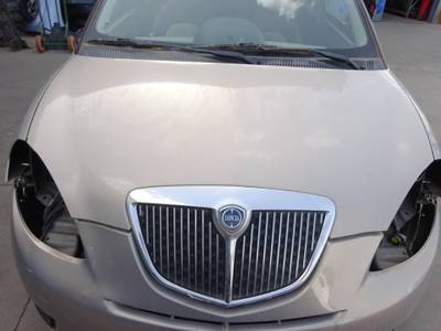 CAPOT LANCIA YPSILON 2009 1.3 JTD 16V (90 CV)