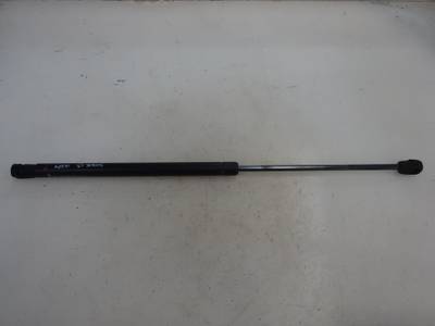 AMORTIGUADOR MALETERO PORTON RENAULT SCENIC II 2005 1.9 DCI D (120 CV)