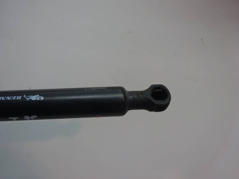 AMORTIGUADOR MALETERO PORTON RENAULT SCENIC III 2016 1.5 DCI D FAP (110 CV)