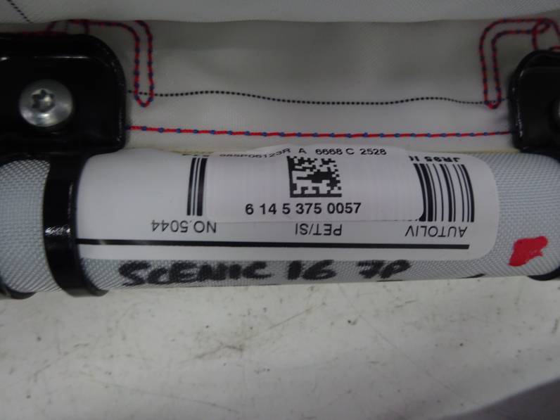 AIRBAG CORTINA DELANTERO DERECHO RENAULT SCENIC III 2016 1.5 DCI D FAP (110 CV)