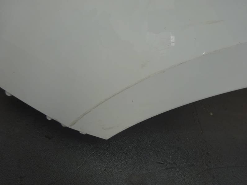 ALETA DELANTERA IZQUIERDA RENAULT SCENIC III 2016 1.5 DCI D FAP (110 CV)