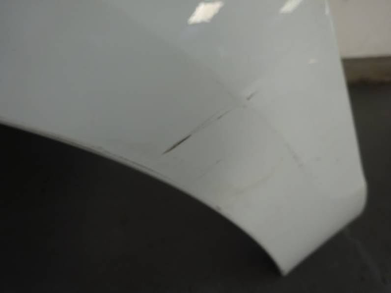 ALETA DELANTERA IZQUIERDA RENAULT SCENIC III 2016 1.5 DCI D FAP (110 CV)