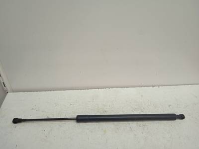 AMORTIGUADOR MALETERO PORTON RENAULT MODUS 2007 1.2 16V (75 CV)