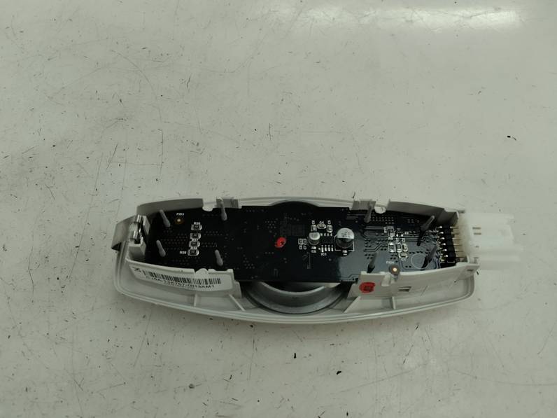 LUZ INTERIOR FORD KUGA 2019 1.5 ECOBOOST (120 CV)