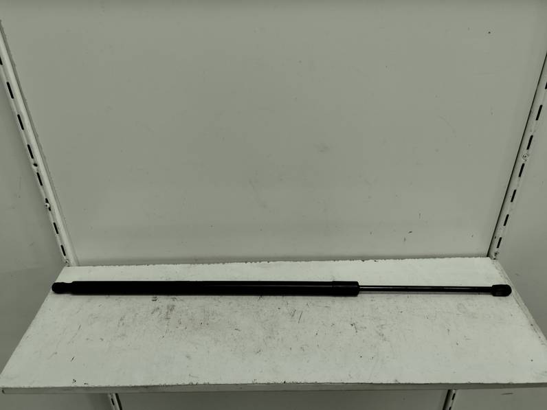 AMORTIGUADOR MALETERO PORTON FORD KUGA 2019 1.5 ECOBOOST (120 CV)