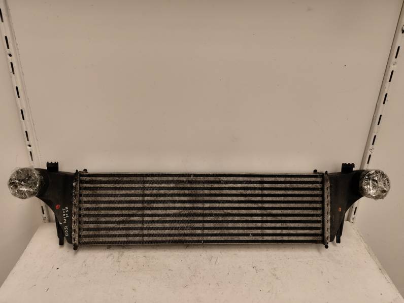 INTERCOOLER BMW X5 2002 3.0 24V TURBODIESEL (184 CV)