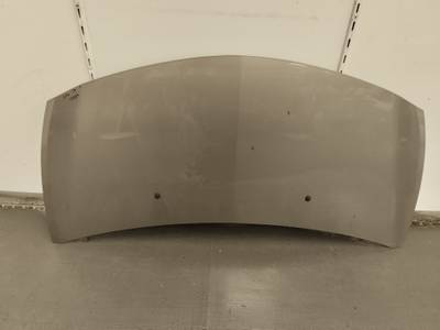 CAPOT RENAULT CLIO III 2010 1.5 DCI D (65 CV)