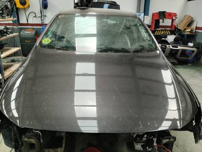 CAPOT VOLKSWAGEN PASSAT BERLINA 2008 2.0 TDI DPF (170 CV)