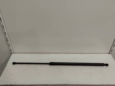 AMORTIGUADOR MALETERO PORTON RENAULT SCENIC III 2012 1.5 DCI D FAP (110 CV)