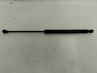 AMORTIGUADOR MALETERO PORTON DACIA SANDERO 2019 0.9 TCE (90 CV)