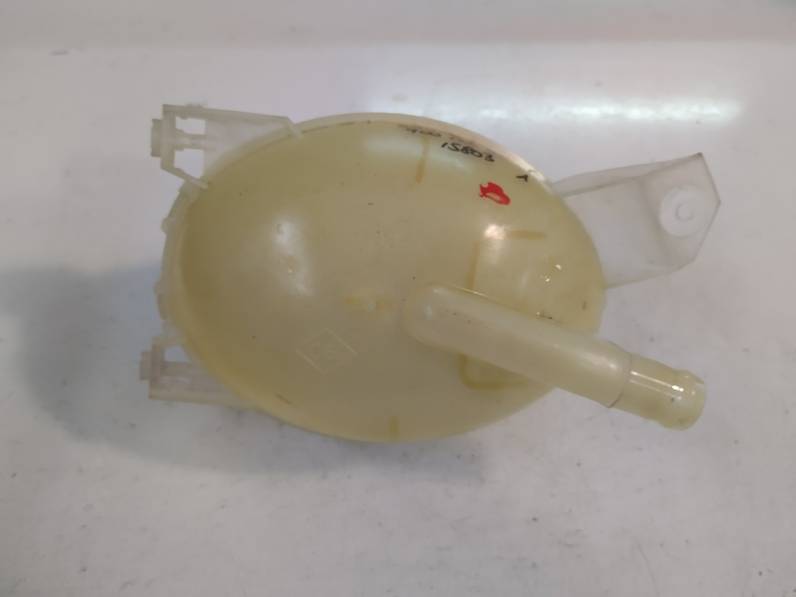 DEPOSITO EXPANSION DACIA SANDERO 2019 0.9 TCE (90 CV)