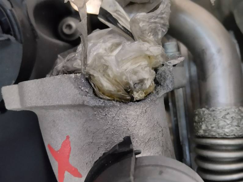 MOTOR COMPLETO SEAT LEON 2006 1.9 TDI (101 CV)