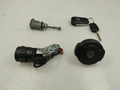 JUEGO BOMBINES PEUGEOT 308 2017 1.2 12V E-THP (131 CV)