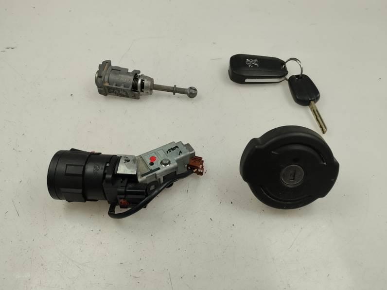 JUEGO BOMBINES PEUGEOT 308 2017 1.2 12V E-THP (131 CV)