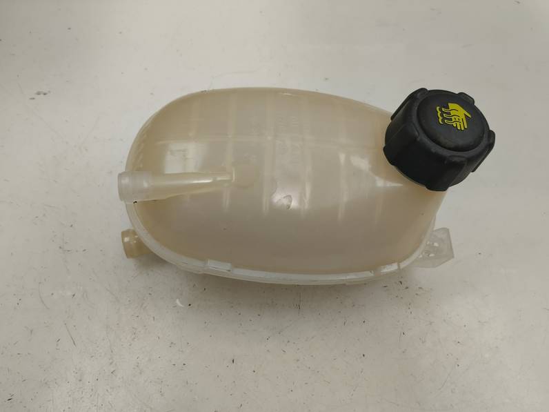 DEPOSITO EXPANSION RENAULT CLIO V 2023 1.0 TCE BIVALENT. GASOLINA / GPL (101 CV)