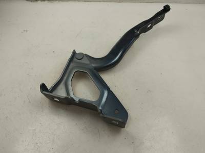 CAPOT RENAULT CLIO V 2023 1.0 TCE BIVALENT. GASOLINA / GPL (101 CV)