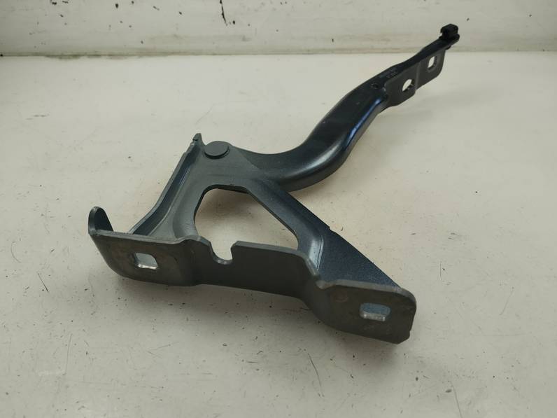 CAPOT RENAULT CLIO V 2023 1.0 TCE BIVALENT. GASOLINA / GPL (101 CV)