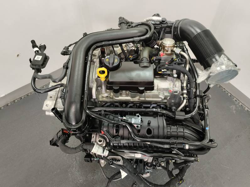 MOTOR COMPLETO SKODA FABIA 2022 1.0 TSI (95 CV)