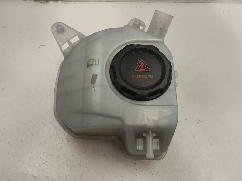 DEPOSITO EXPANSION SKODA FABIA 2022 1.0 TSI (95 CV)