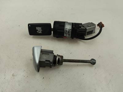 JUEGO BOMBINES PEUGEOT 207 2009 1.6 16V HDI (90 CV)