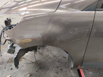 ALETA DELANTERA IZQUIERDA RENAULT SCENIC III 2009 2.0 DCI D FAP (160 CV)