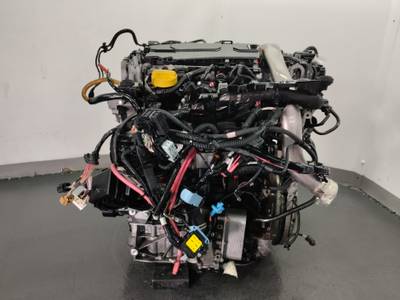 MOTOR COMPLETO RENAULT SCENIC III 2009 2.0 DCI D FAP (160 CV)