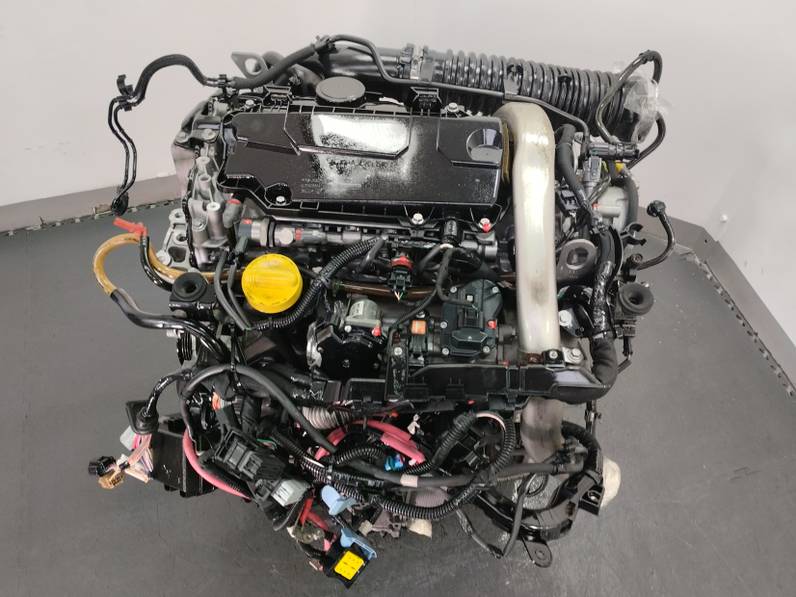 MOTOR COMPLETO RENAULT SCENIC III 2009 2.0 DCI D FAP (160 CV)