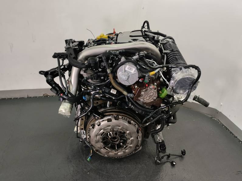 MOTOR COMPLETO RENAULT SCENIC III 2009 2.0 DCI D FAP (160 CV)