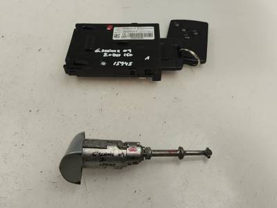 JUEGO BOMBINES RENAULT SCENIC III 2009 2.0 DCI D FAP (160 CV)