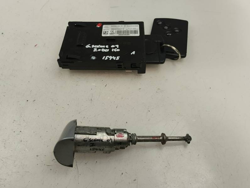 JUEGO BOMBINES RENAULT SCENIC III 2009 2.0 DCI D FAP (160 CV)