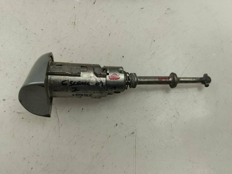 JUEGO BOMBINES RENAULT SCENIC III 2009 2.0 DCI D FAP (160 CV)