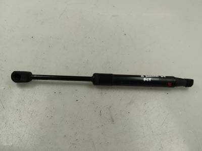 AMORTIGUADOR CAPOT RENAULT SCENIC III 2009 2.0 DCI D FAP (160 CV)