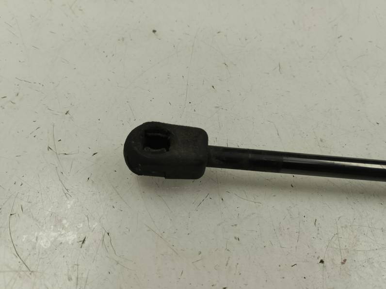 AMORTIGUADOR CAPOT RENAULT SCENIC III 2009 2.0 DCI D FAP (160 CV)