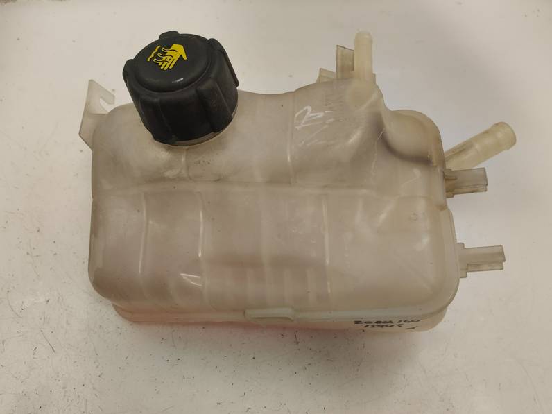 DEPOSITO EXPANSION RENAULT SCENIC III 2009 2.0 DCI D FAP (160 CV)