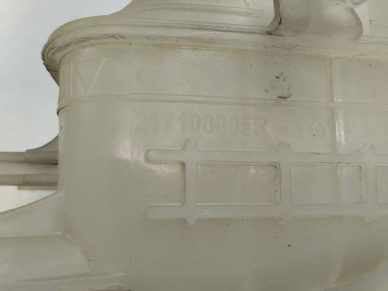 DEPOSITO EXPANSION RENAULT SCENIC III 2009 2.0 DCI D FAP (160 CV)