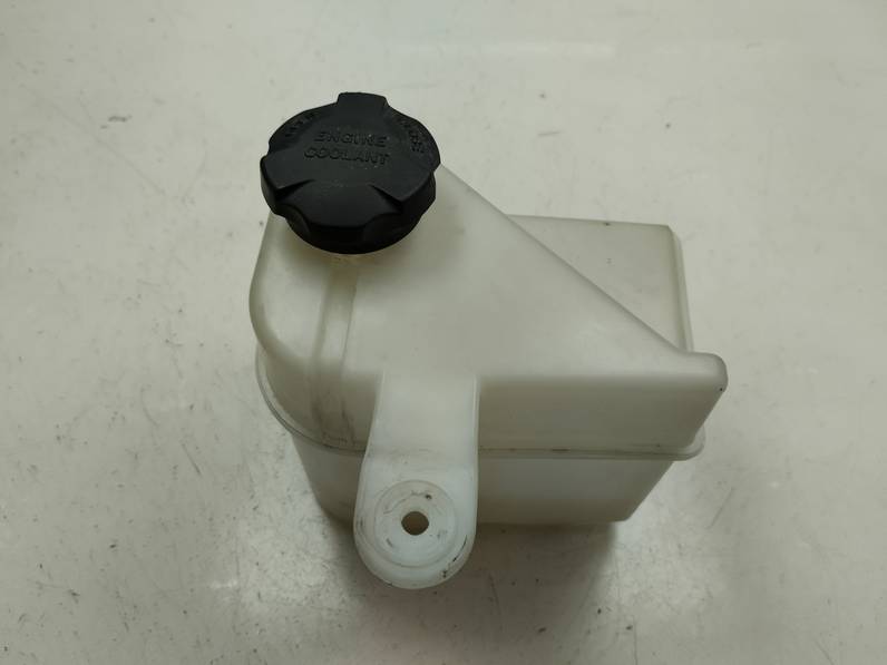 DEPOSITO EXPANSION HYUNDAI IX20 2018 1.4 (90 CV)