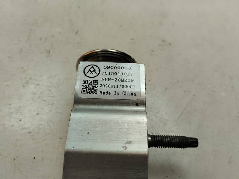 VALVULA EXPANSION OPEL CORSA F 2020 1.2 (101 CV)